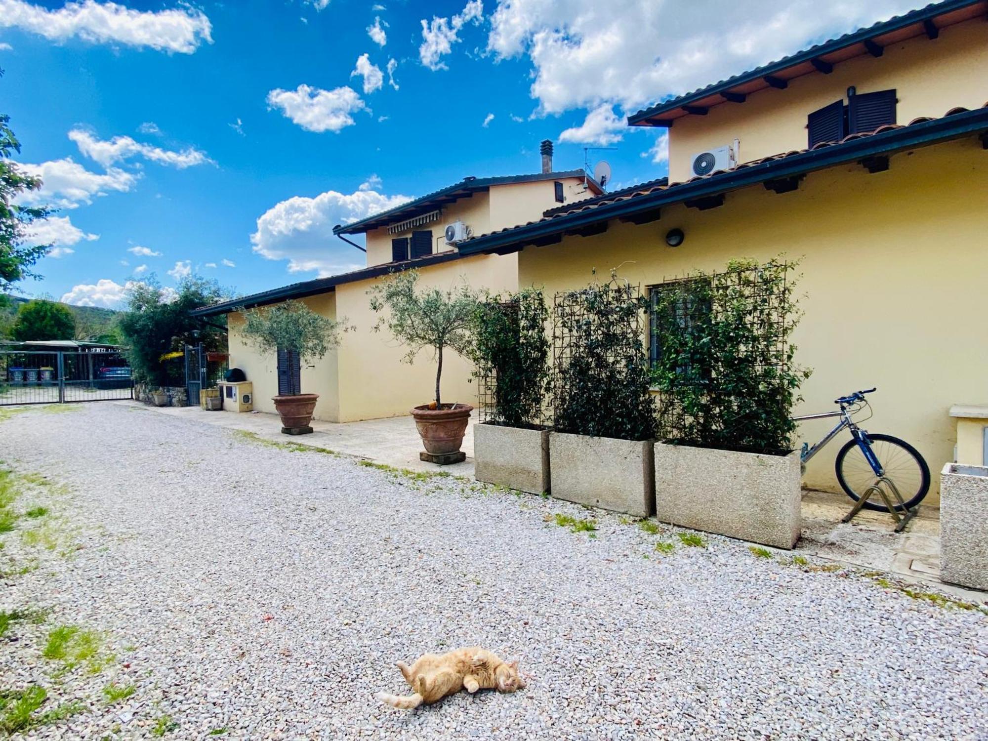 Casa Vacanze Barbara Sant'Arcangelo  Bagian luar foto